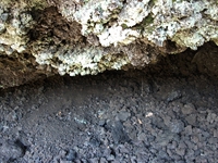 nte Cicirello-10042012 038